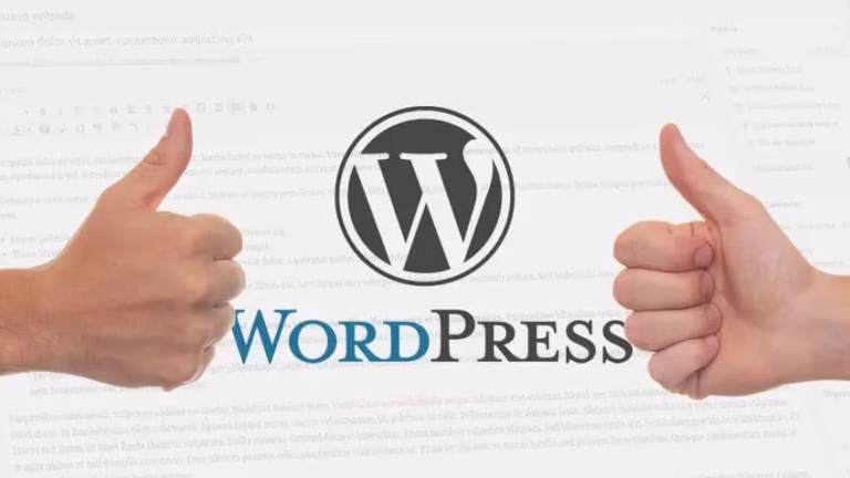 wordpress entradas