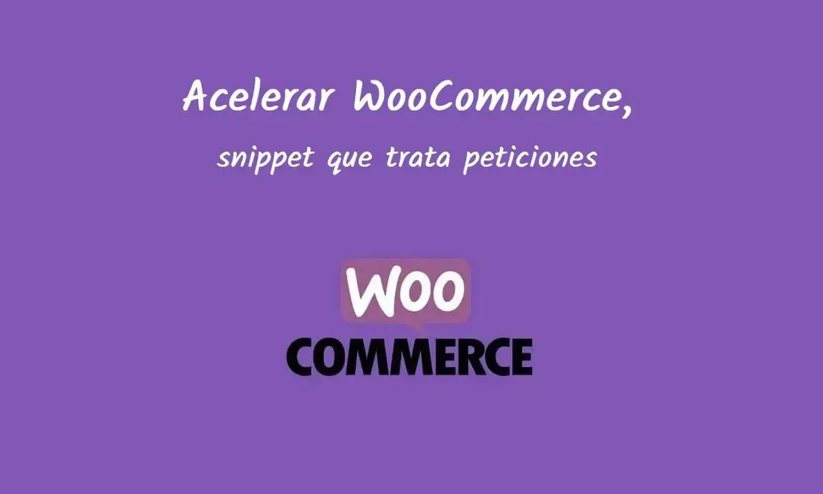 Acelerar WooCommerce, snippet que trata peticiones