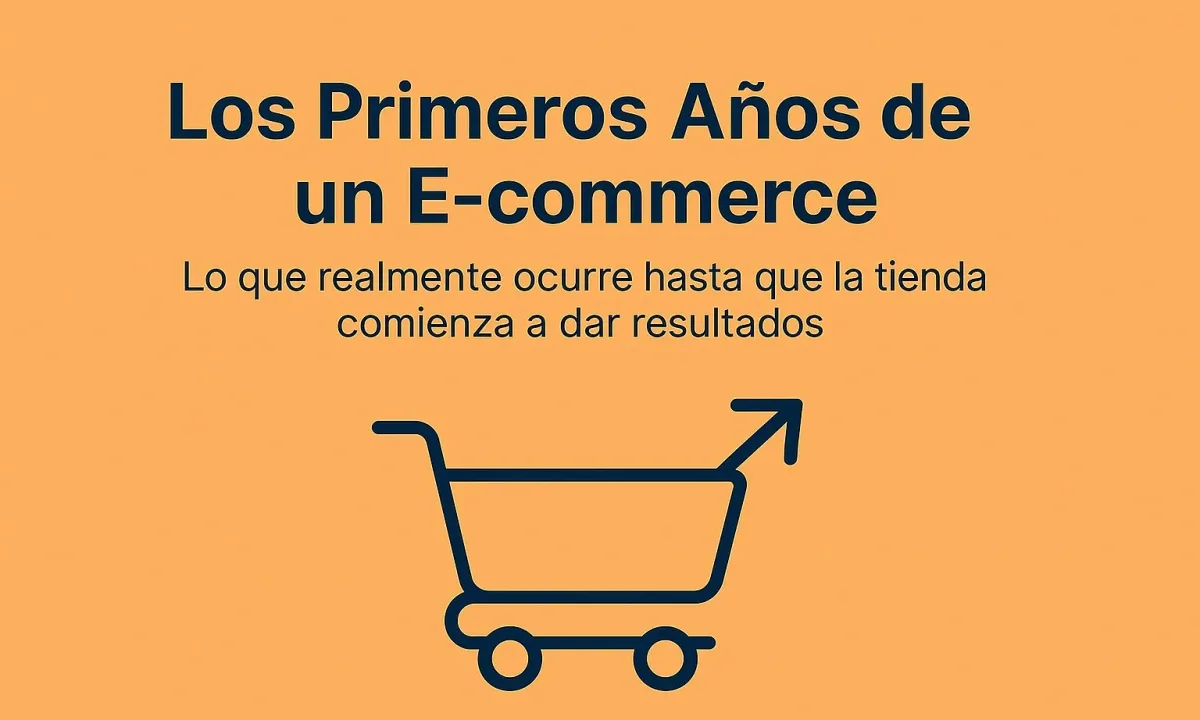 E-commerce : Los primeros años y lo que realmente ocurre